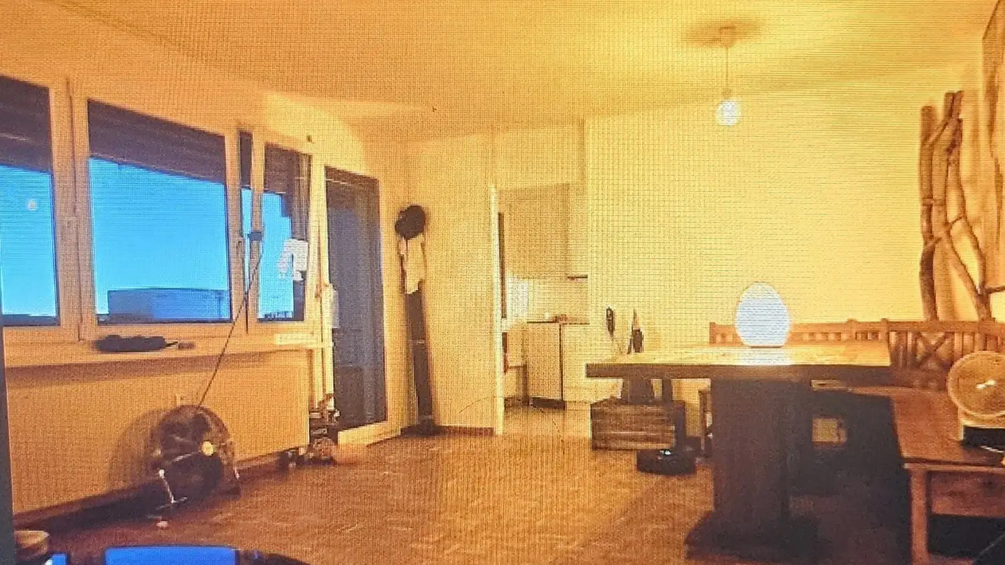 Chambre à louer - Schönenwerdstrasse 3, 8952 Schlieren - Photo 2