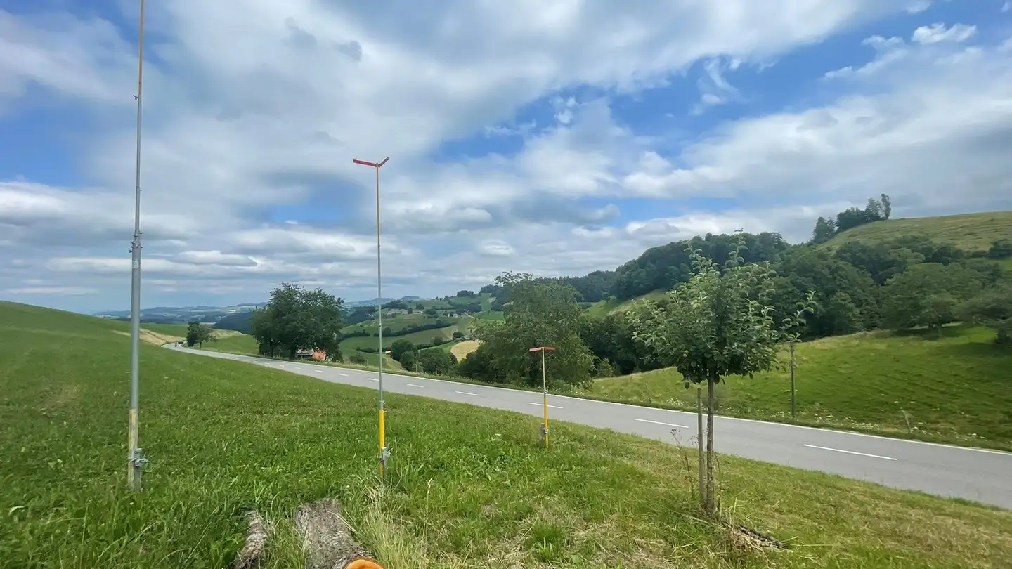 Casa singola in vendita - Dorf, 3159 Riedstätt - Photo 2