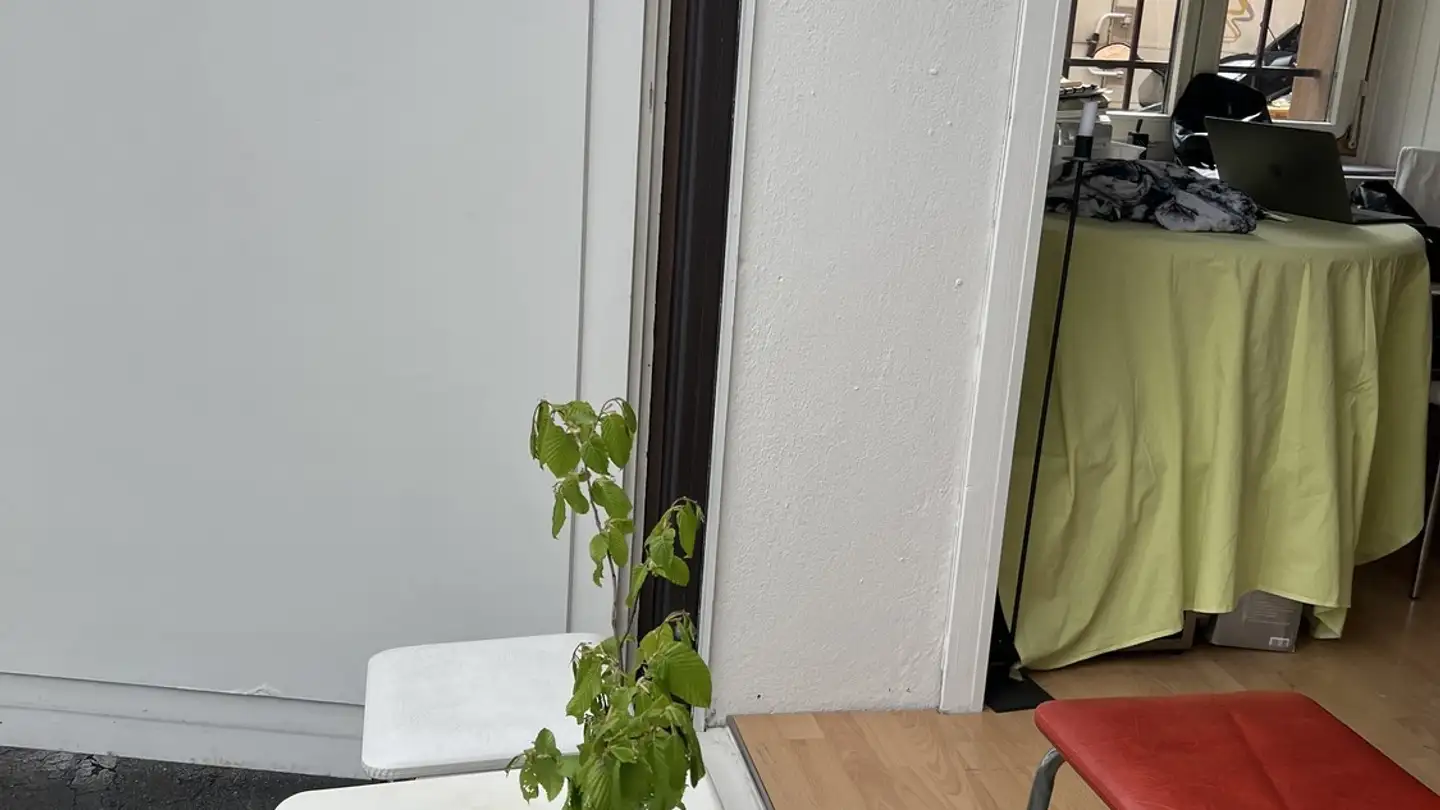 Commercial for rent - Berninaplatz 2, 8057 Zürich - Photo 4