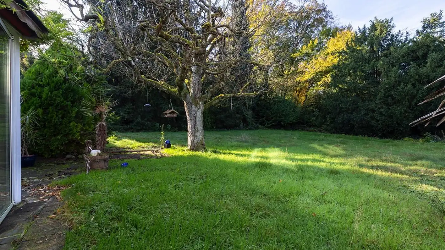 Terrain constructible à vendre - Rottmannsbodenstrasse 107, 4102 Binningen - Photo 2