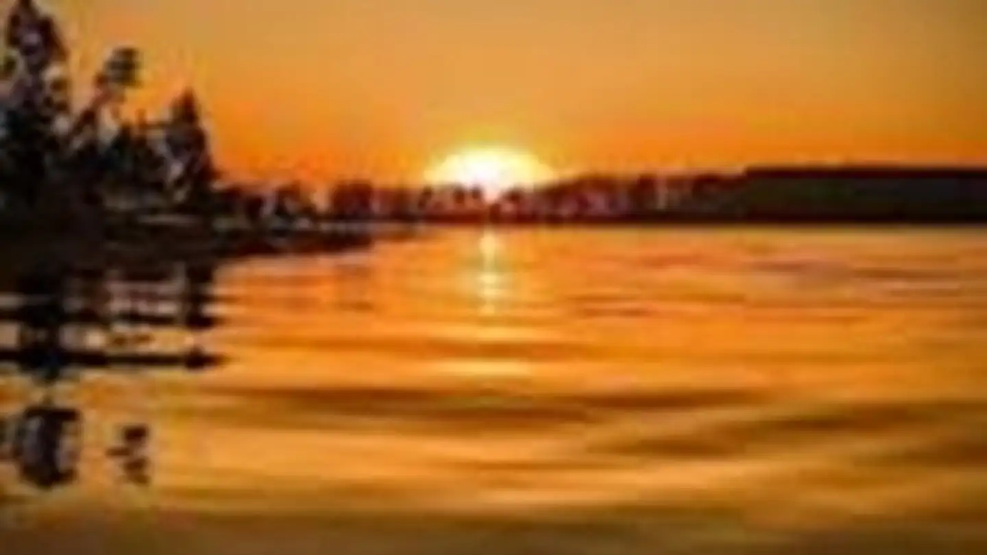 Appartement à louer - 8590 Romanshorn