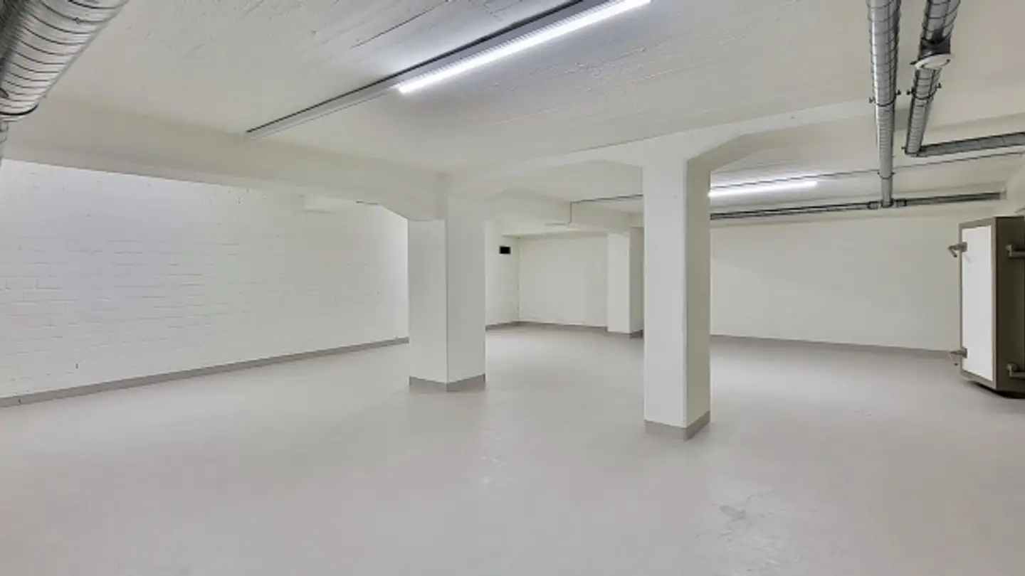 Spazio di archiviazione in affitto - Binzstrasse 39, 8045 Zürich