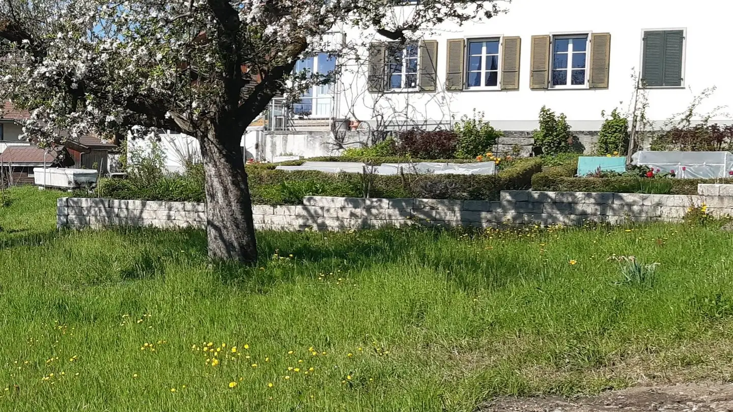 Appartement à louer - Lenzligenweg 6, 3506 Grosshöchstetten