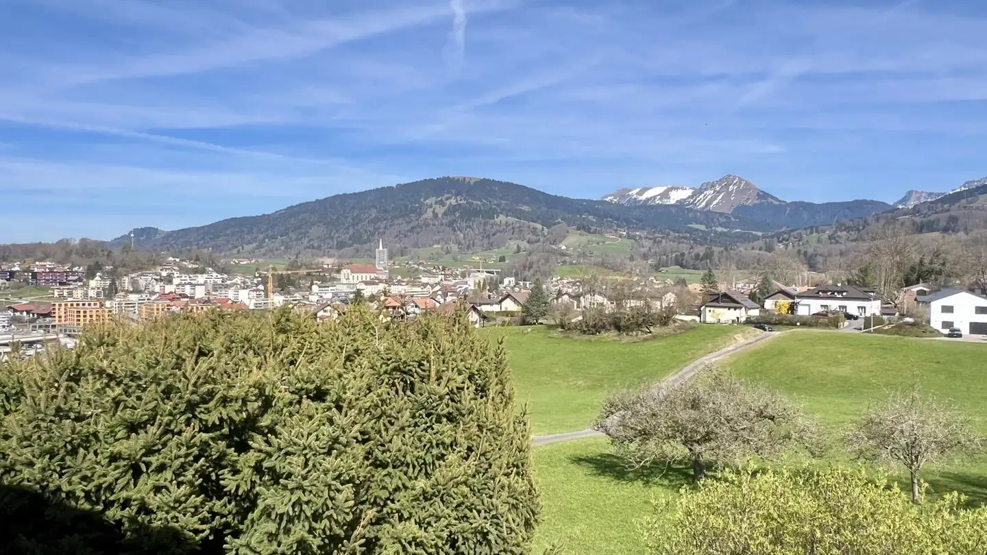 Casa singola in vendita - 1618 Châtel-St-Denis - Foto 3