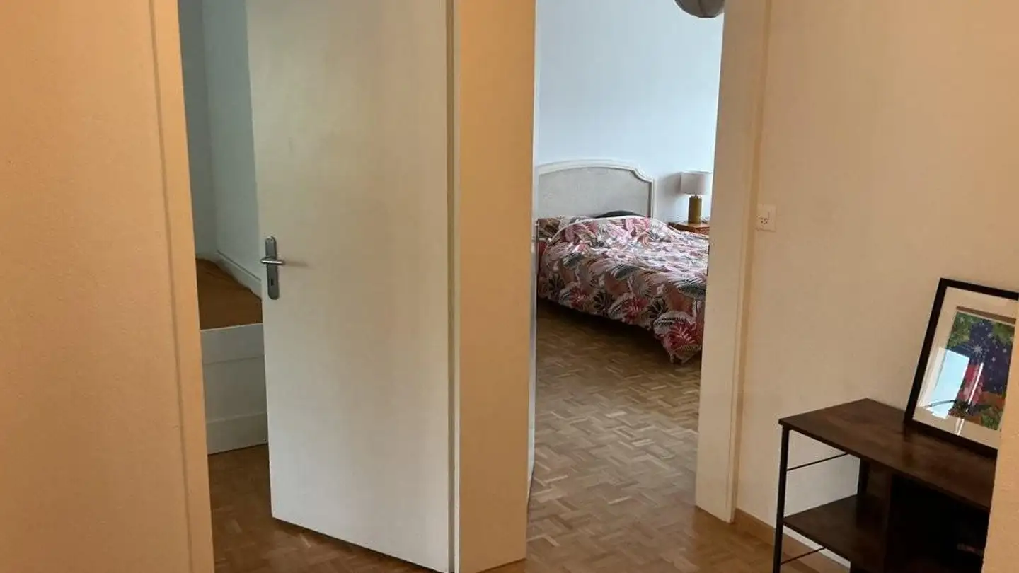 Appartamento in affitto - Stodolastrasse 11, 8053 Zürich - Foto 4