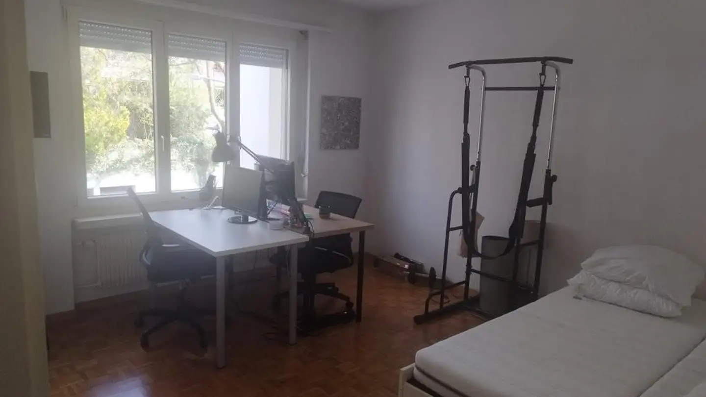 Appartamento in affitto - Stodolastrasse 11, 8053 Zürich - Foto 2