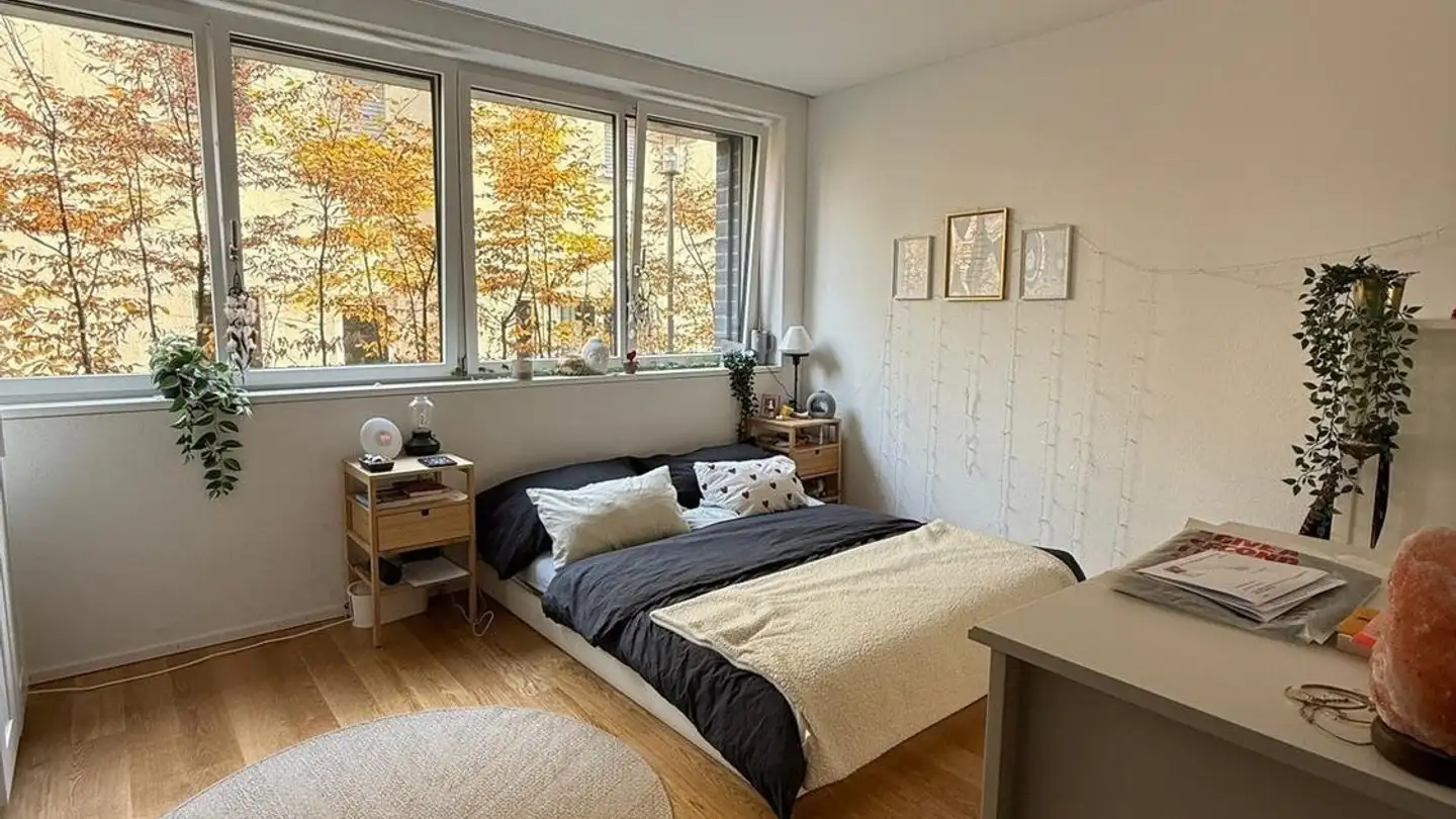 Appartamento in affitto - Schlosshofstrasse 21, 8400 Winterthur - Photo 2