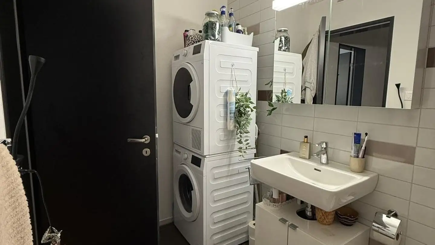 Appartamento in affitto - Schlosshofstrasse 21, 8400 Winterthur - Photo 4