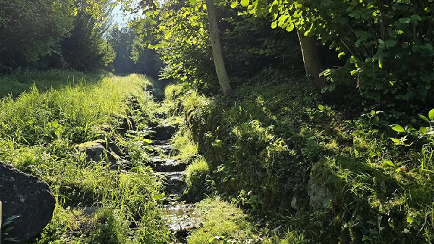 Casa singola in affitto - Rebacherweg 1, 6285 Hitzkirch - Photo 3