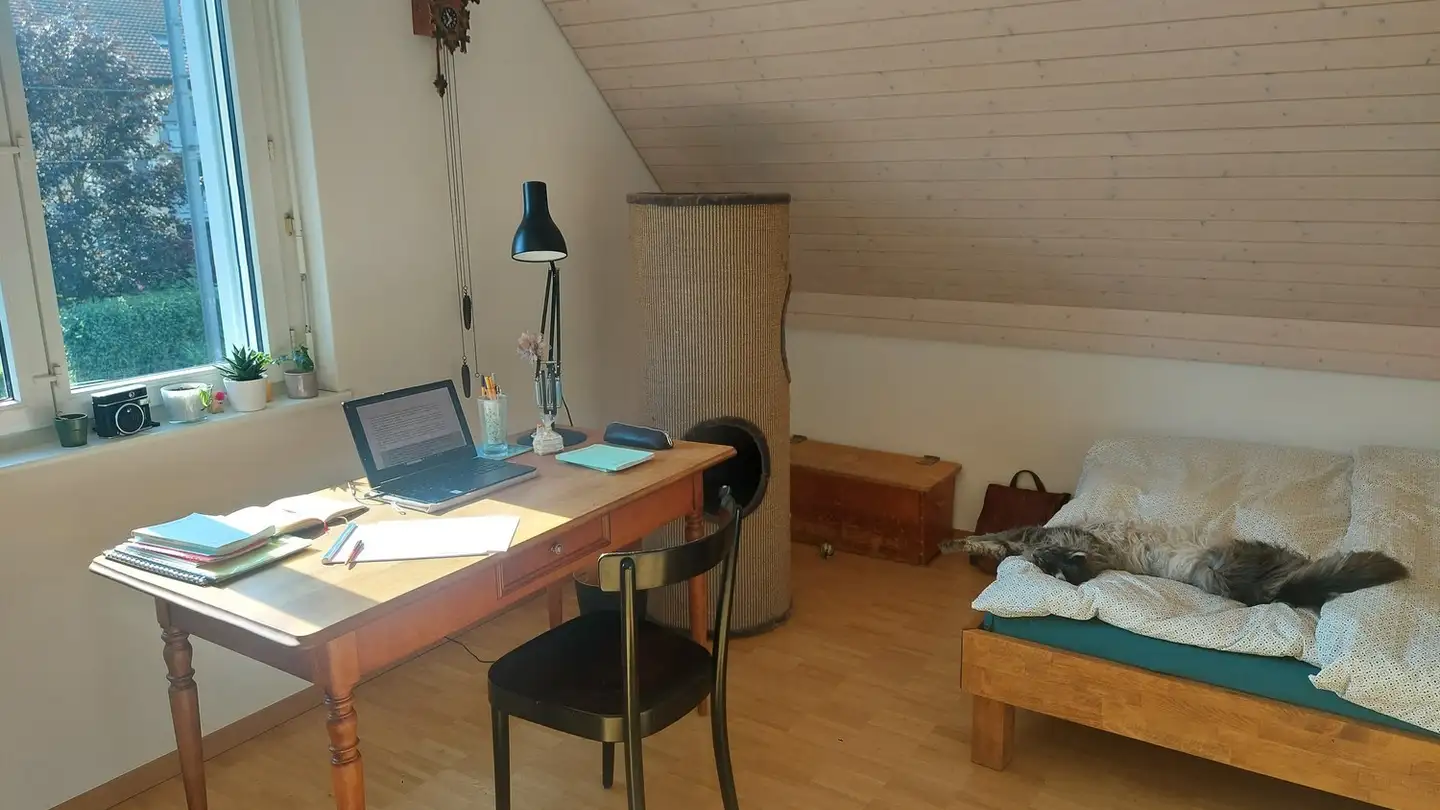 Zimmer mieten - 8405 Winterthur