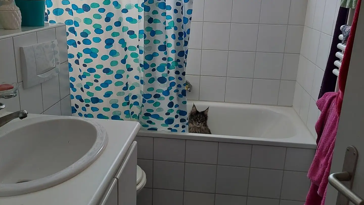 Zimmer mieten - 8405 Winterthur - Foto 3