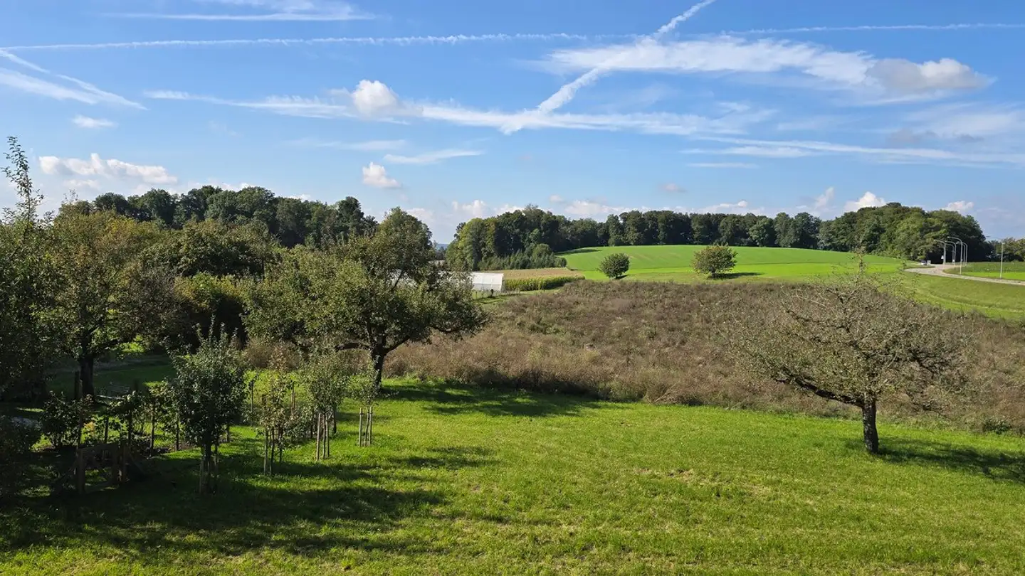 Maisonette kaufen - Buechenstrasse, 8185 Winkel - Foto 3