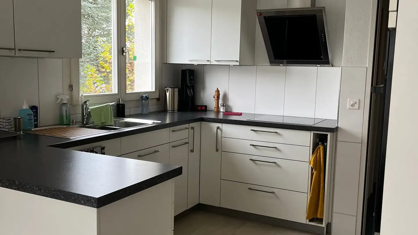 Appartamento in affitto - Langenhagweg 30, 4123 Allschwil - Foto 2