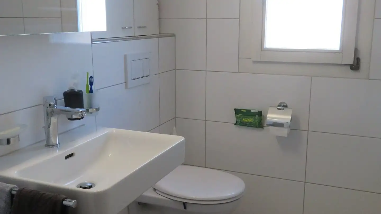 Appartamento in affitto - Langenhagweg 30, 4123 Allschwil - Foto 4