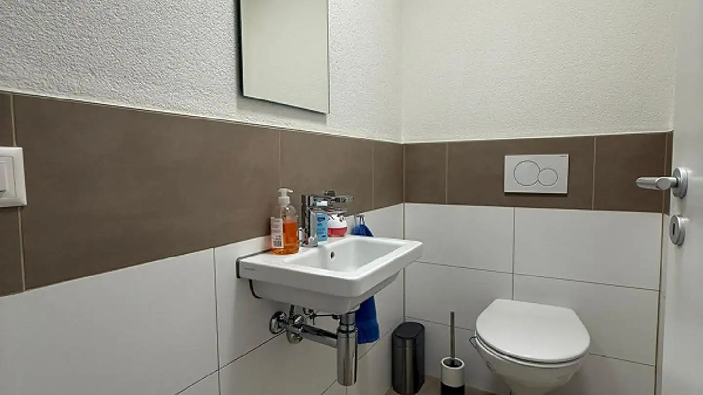 Einfamilienhaus kaufen - Widenaustrasse 6, 9444 Diepoldsau - Foto 3