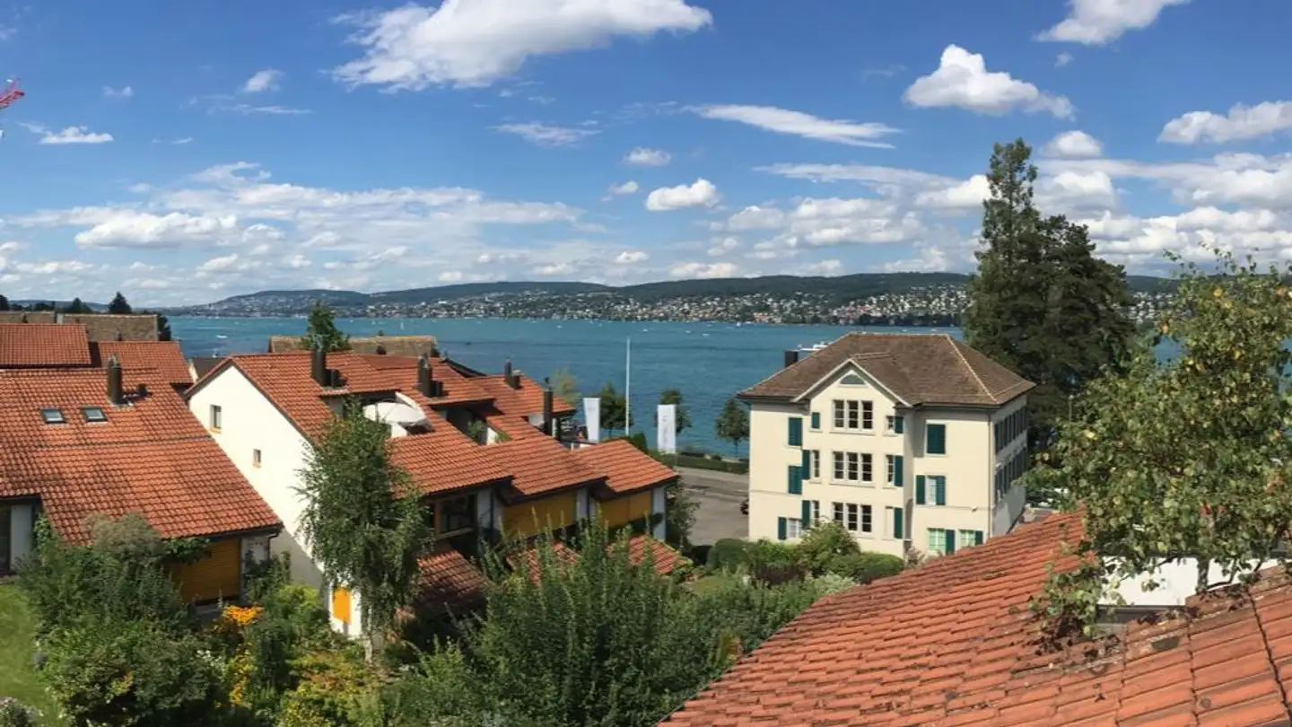 Maison en terrasse à louer - Im Marbach 12, 8800 Thalwil - Photo 2