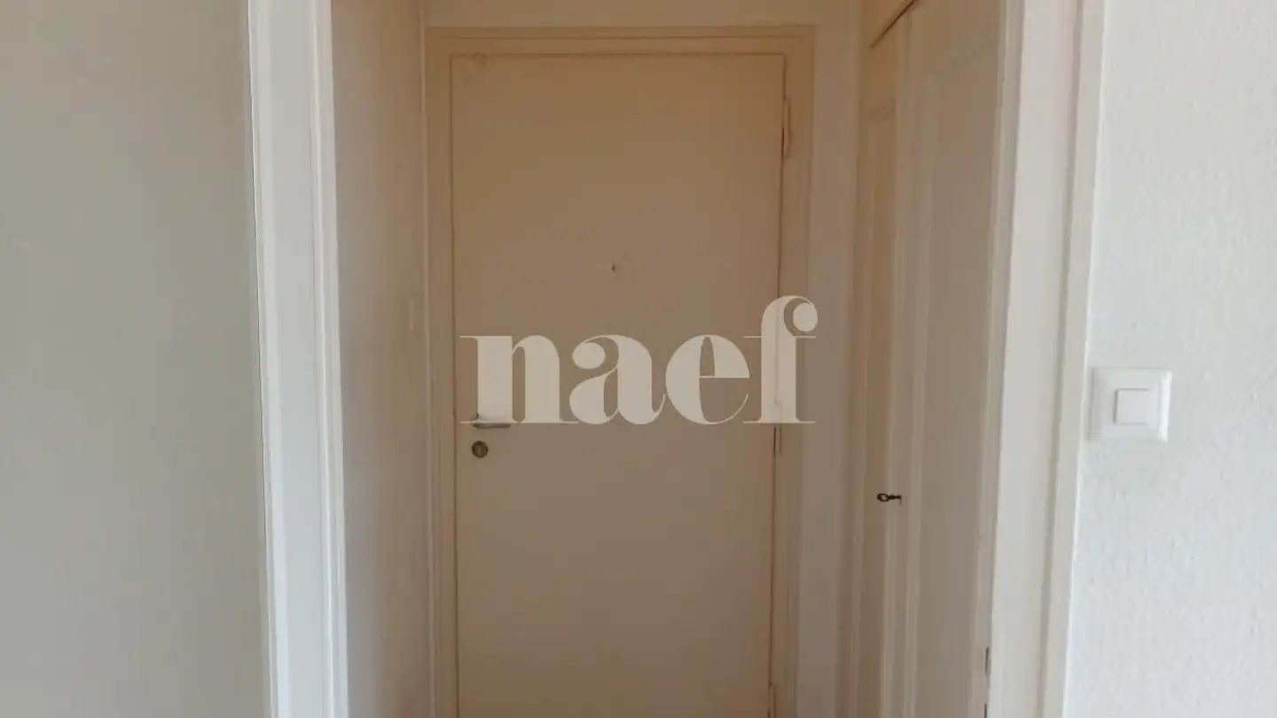 Studio in affitto - Route De Frontenex 61, 1207 Genève
