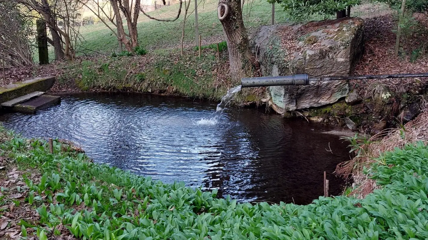 Casa singola in vendita - 6702 Claro - Foto 3