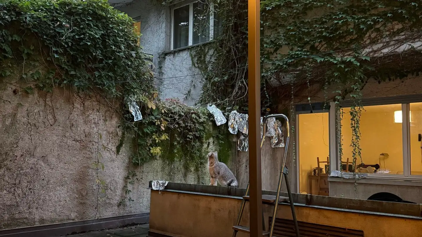 Appartement à louer - Blauenstrasse 55, 4054 Basel