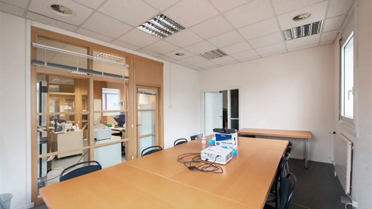 Appartamento in affitto - Chemin Des Aulx 16, 1228 Plan-les-Ouates