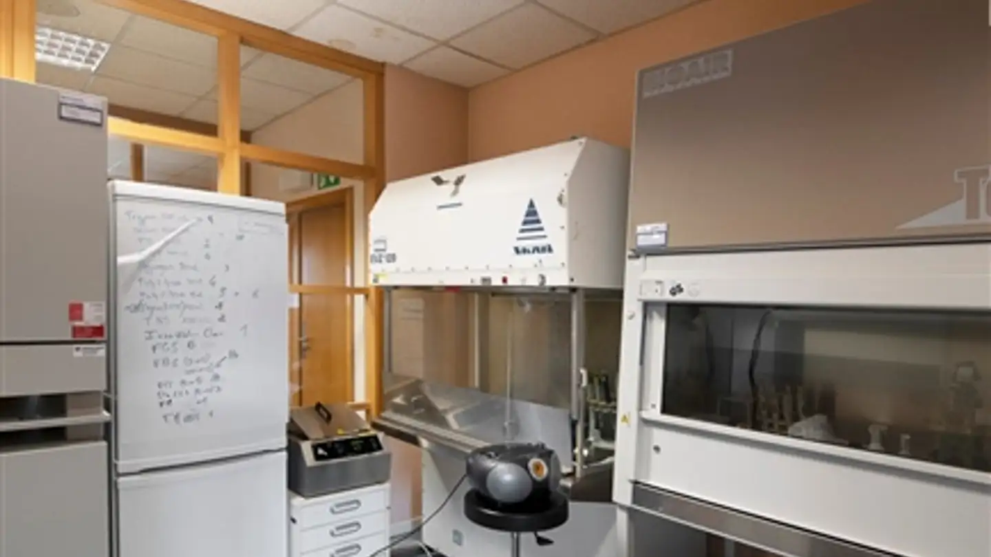 Appartamento in affitto - Chemin Des Aulx 16, 1228 Plan-les-Ouates - Foto 4