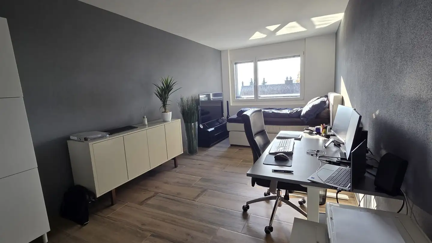 Appartamento in affitto - Hanflandstrasse 32, 8340 Hinwil - Foto 3