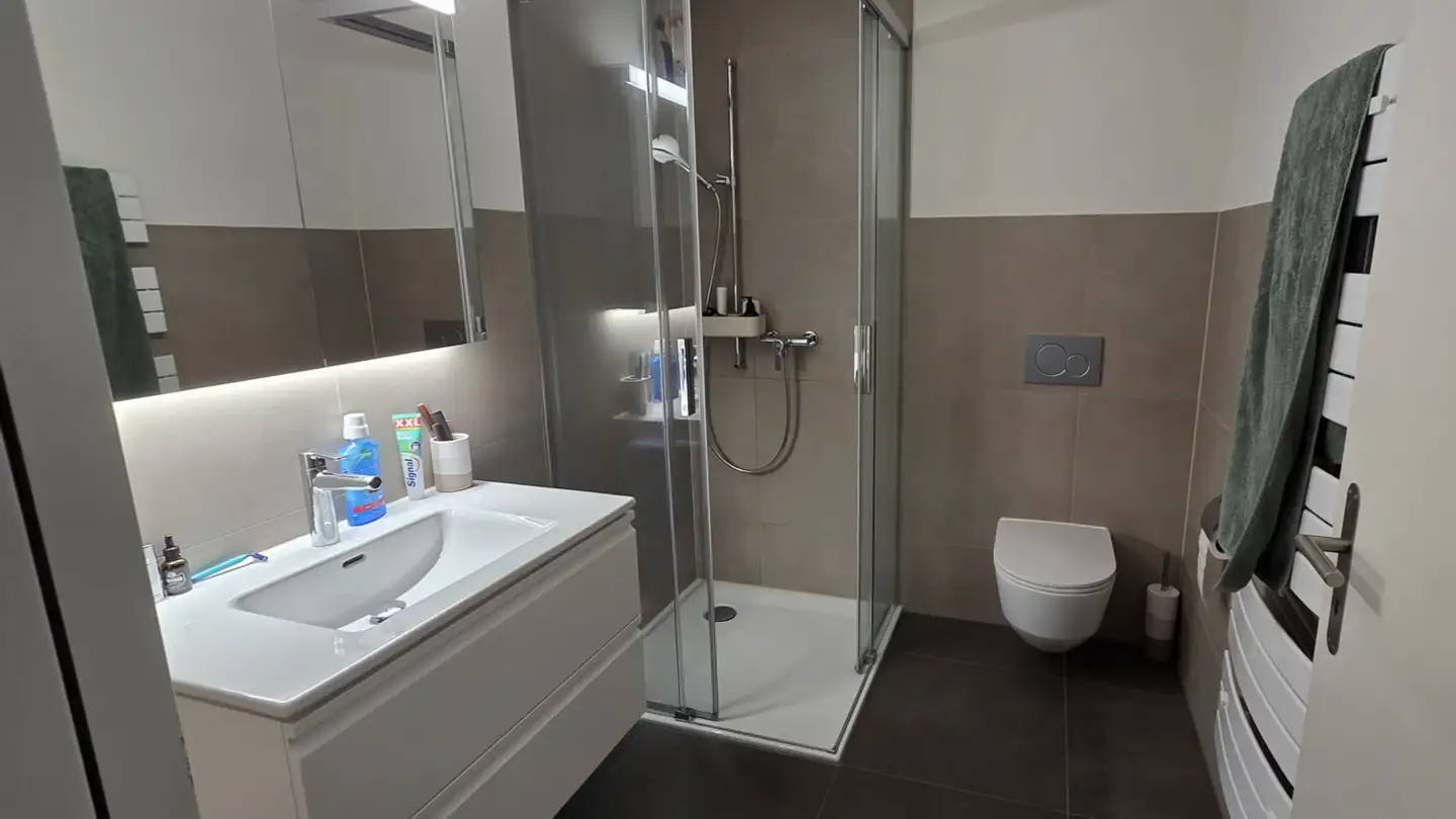 Appartamento in affitto - Hanflandstrasse 32, 8340 Hinwil - Foto 4