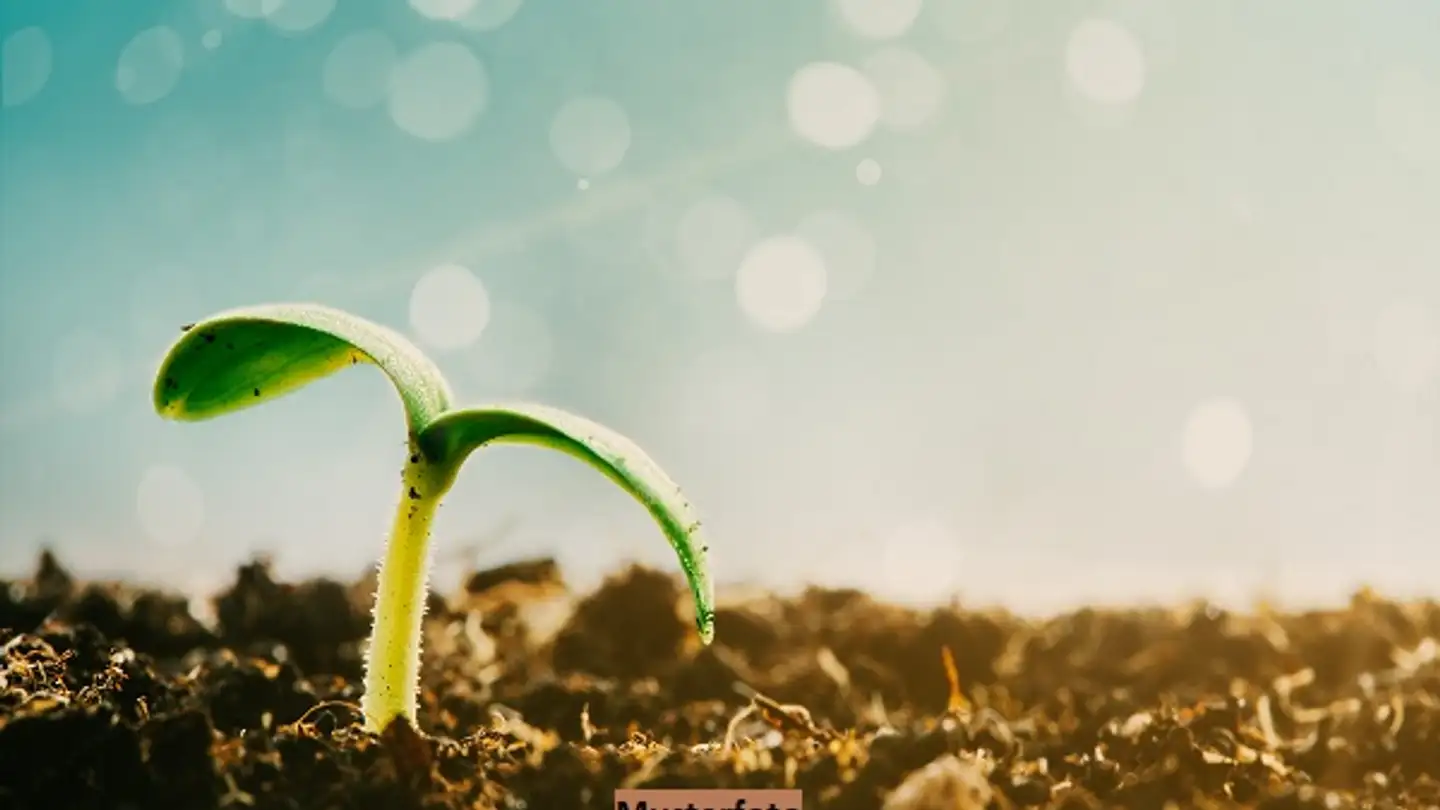 Fattoria in vendita - Chemin des Chaumets, 1239 Collex