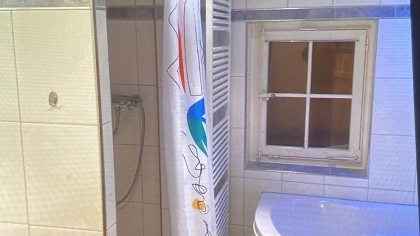 Appartement à louer - 3762 Erlenbach im Simmental