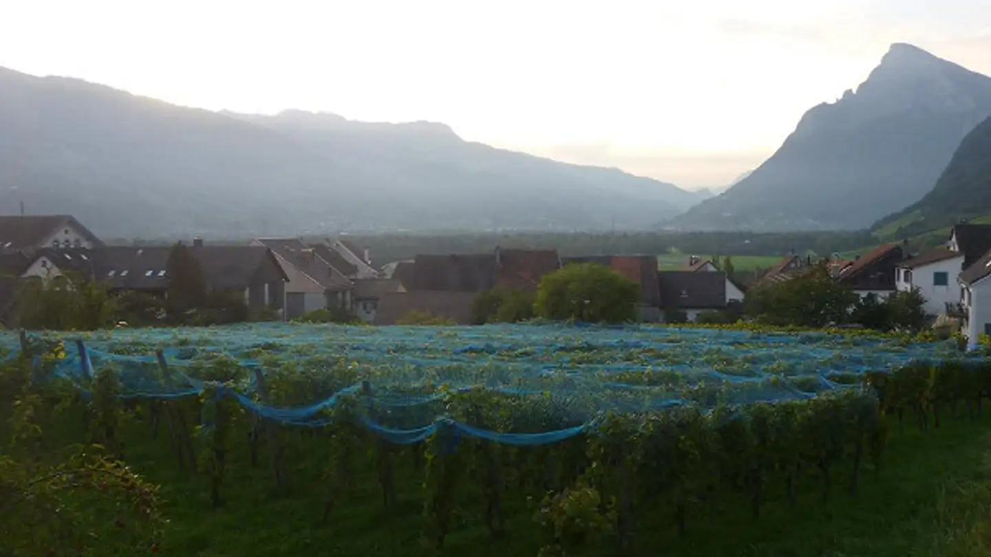 Appartamento in affitto - Oberdorf 34, 7306 Fläsch - Foto 2