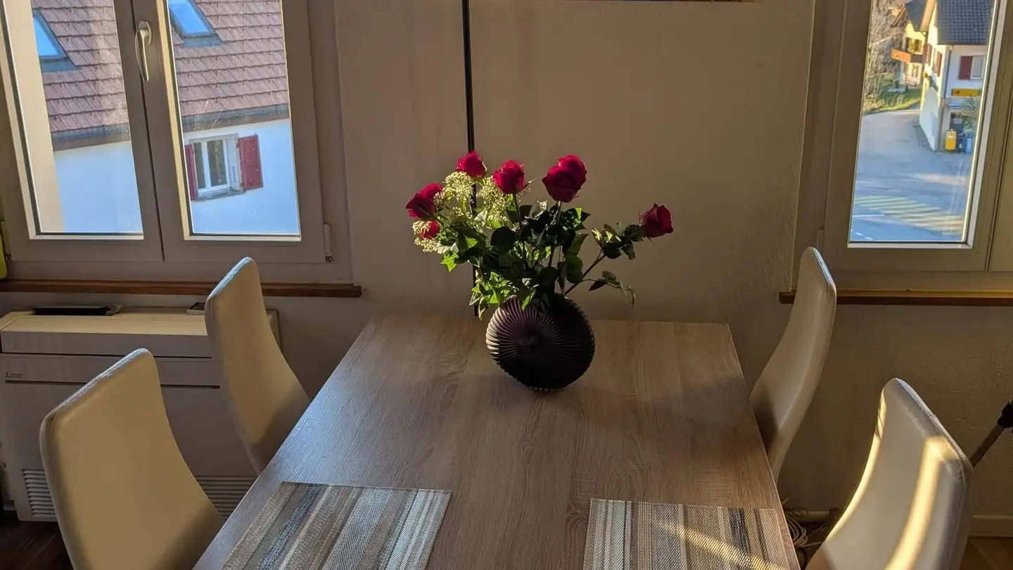 Furnished apartment for rent - Weissensteinstrasse 100, 4515 Oberdorf SO - Photo 3