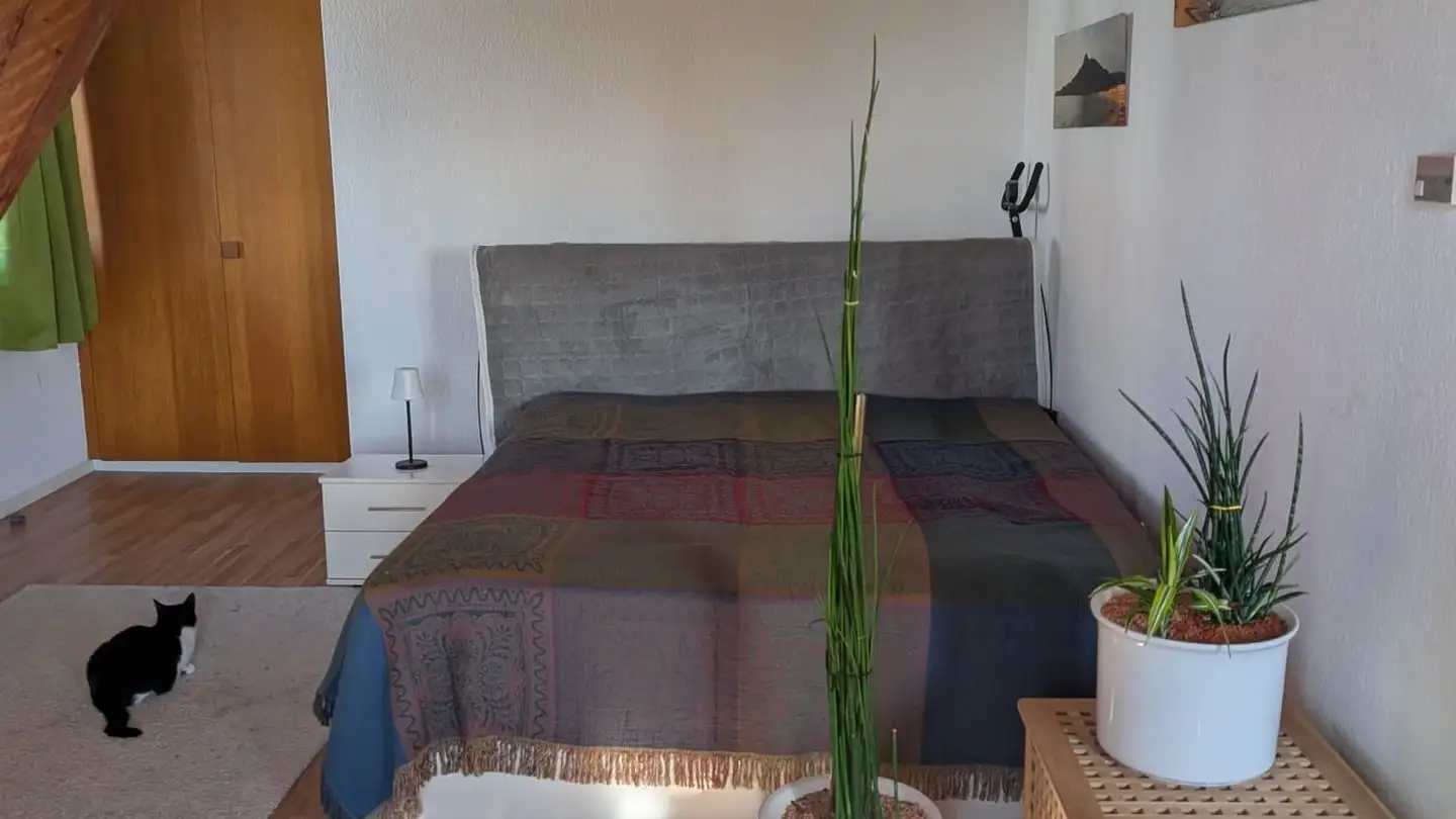 Furnished apartment for rent - Weissensteinstrasse 100, 4515 Oberdorf SO - Photo 4