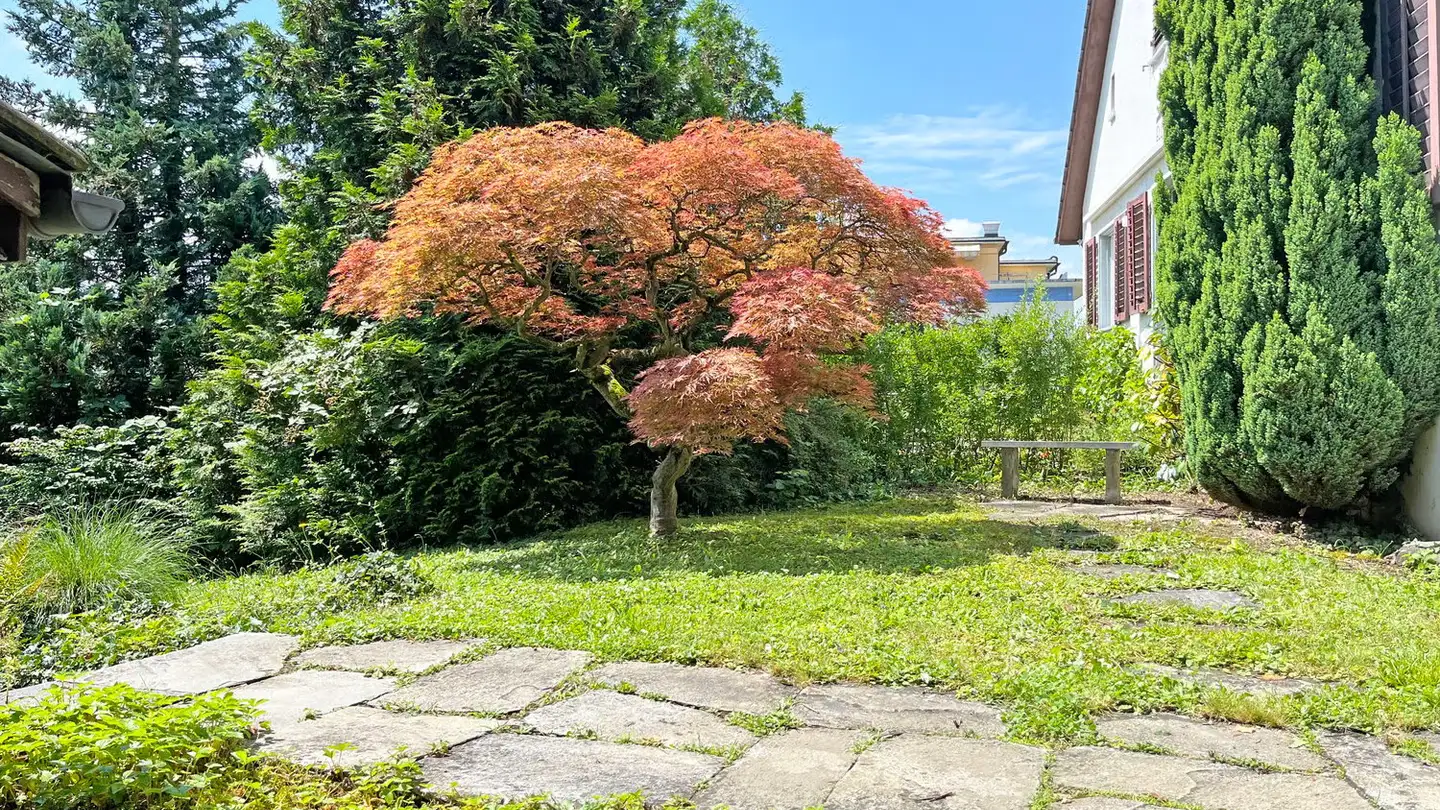 Einfamilienhaus mieten - Limmattalstrasse 300, 8049 Zürich - Foto 4