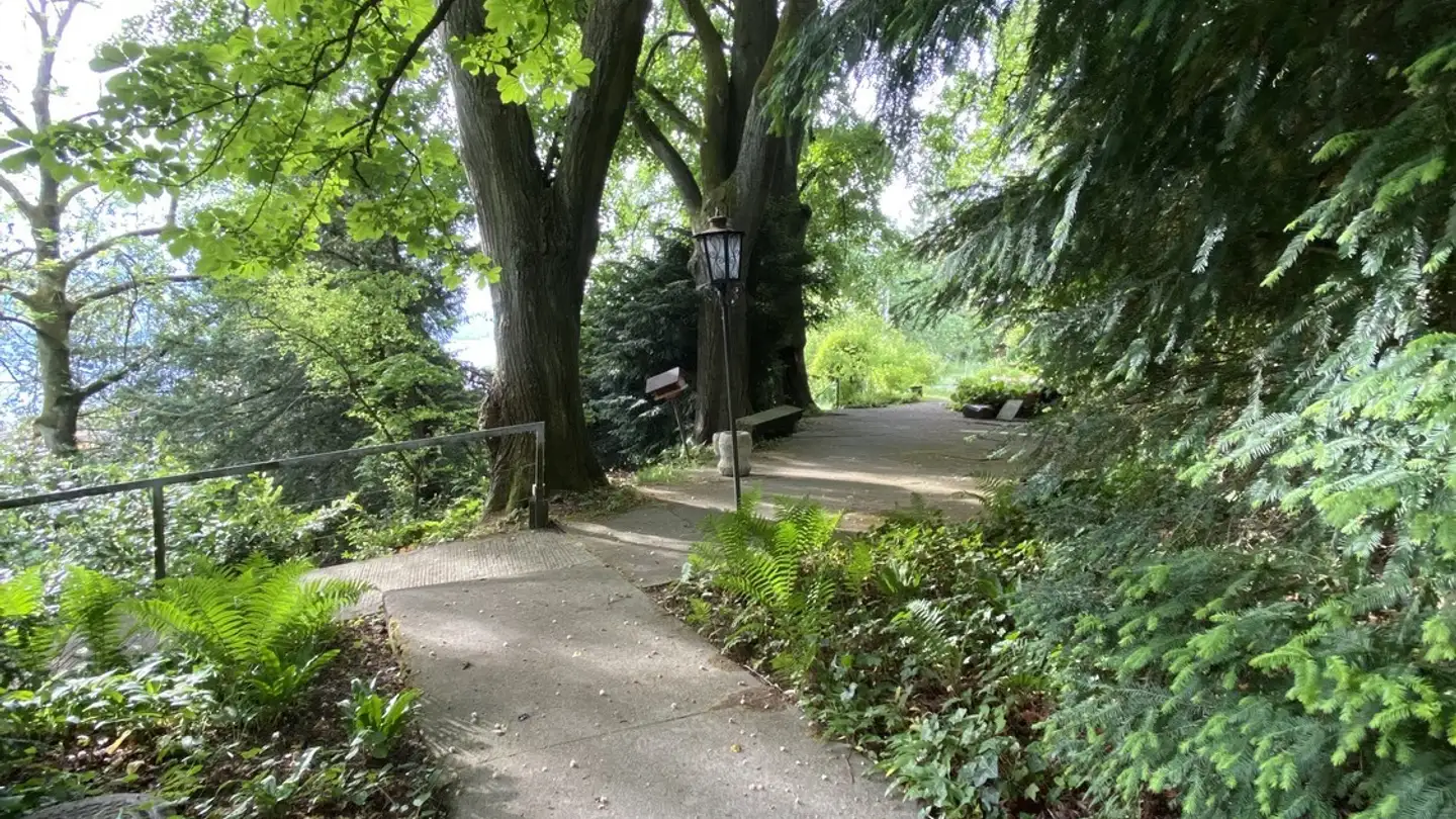 Wohnung mieten - Birkenweg 8, 8802 Kilchberg ZH - Foto 3