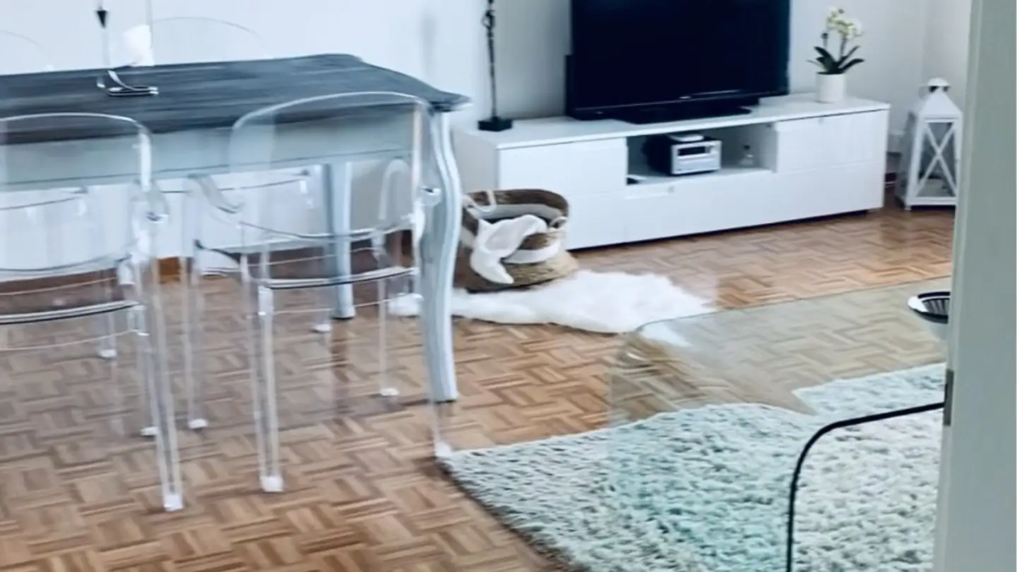 Apartment for rent - 6528 Camorino - Photo 3