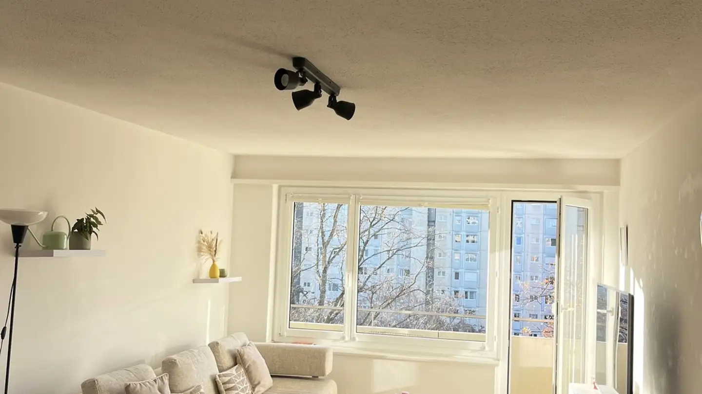 Single room for rent - Schaufelbergerstrasse 44, 8055 Zürich