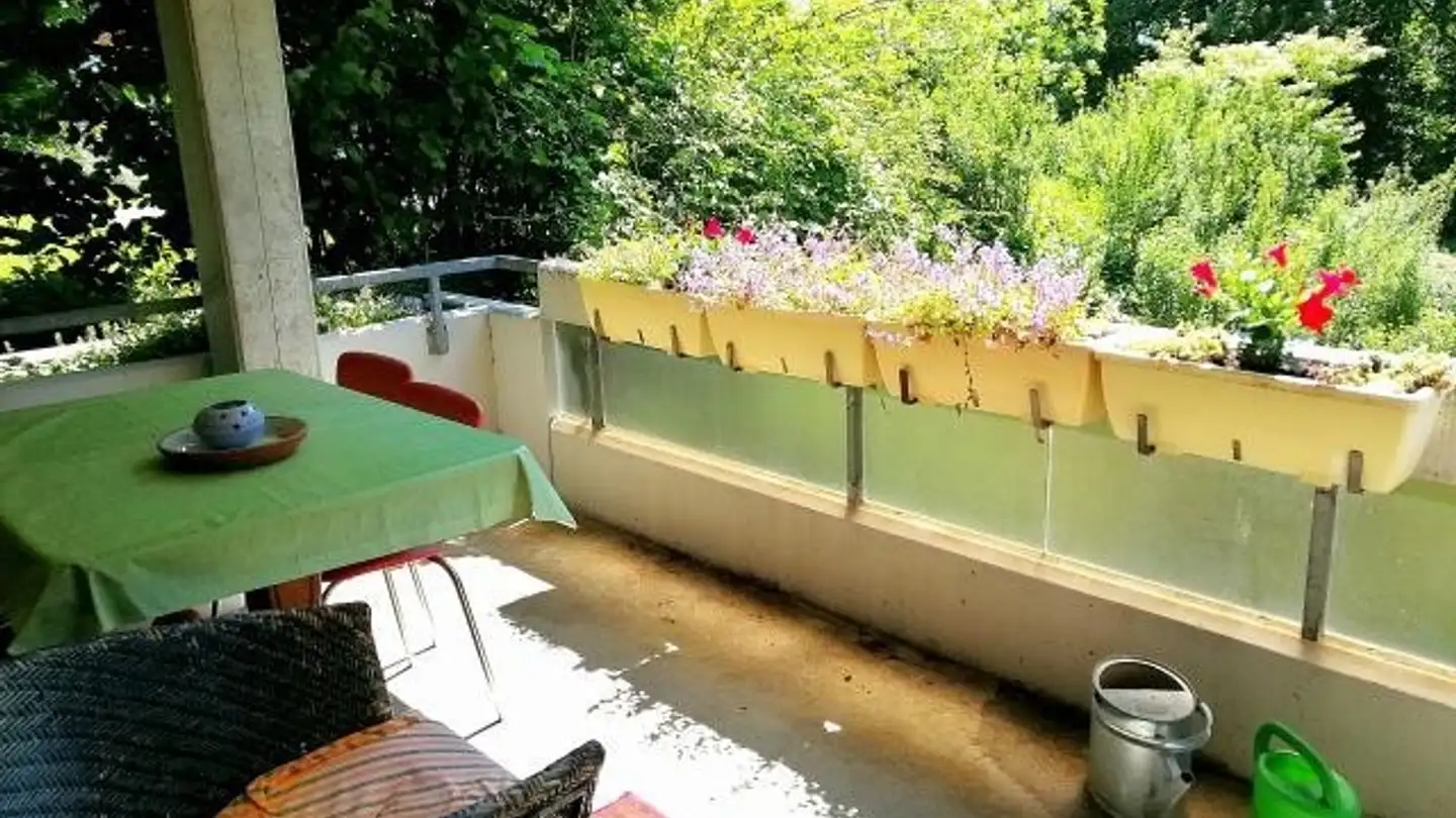 Stanza singola in affitto - 8706 Meilen - Foto 4