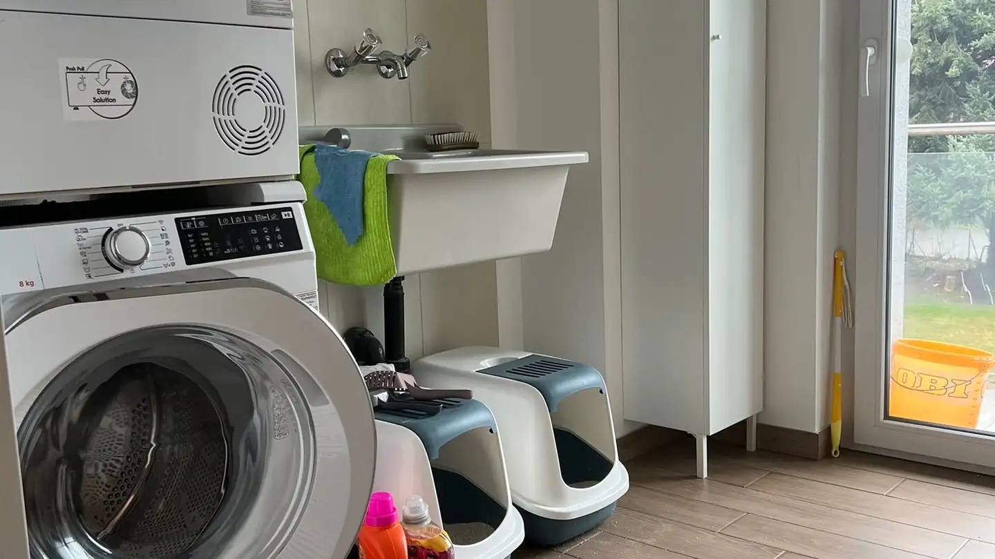 Appartamento in affitto - Via Lischedo, 6802 Rivera - Foto 4