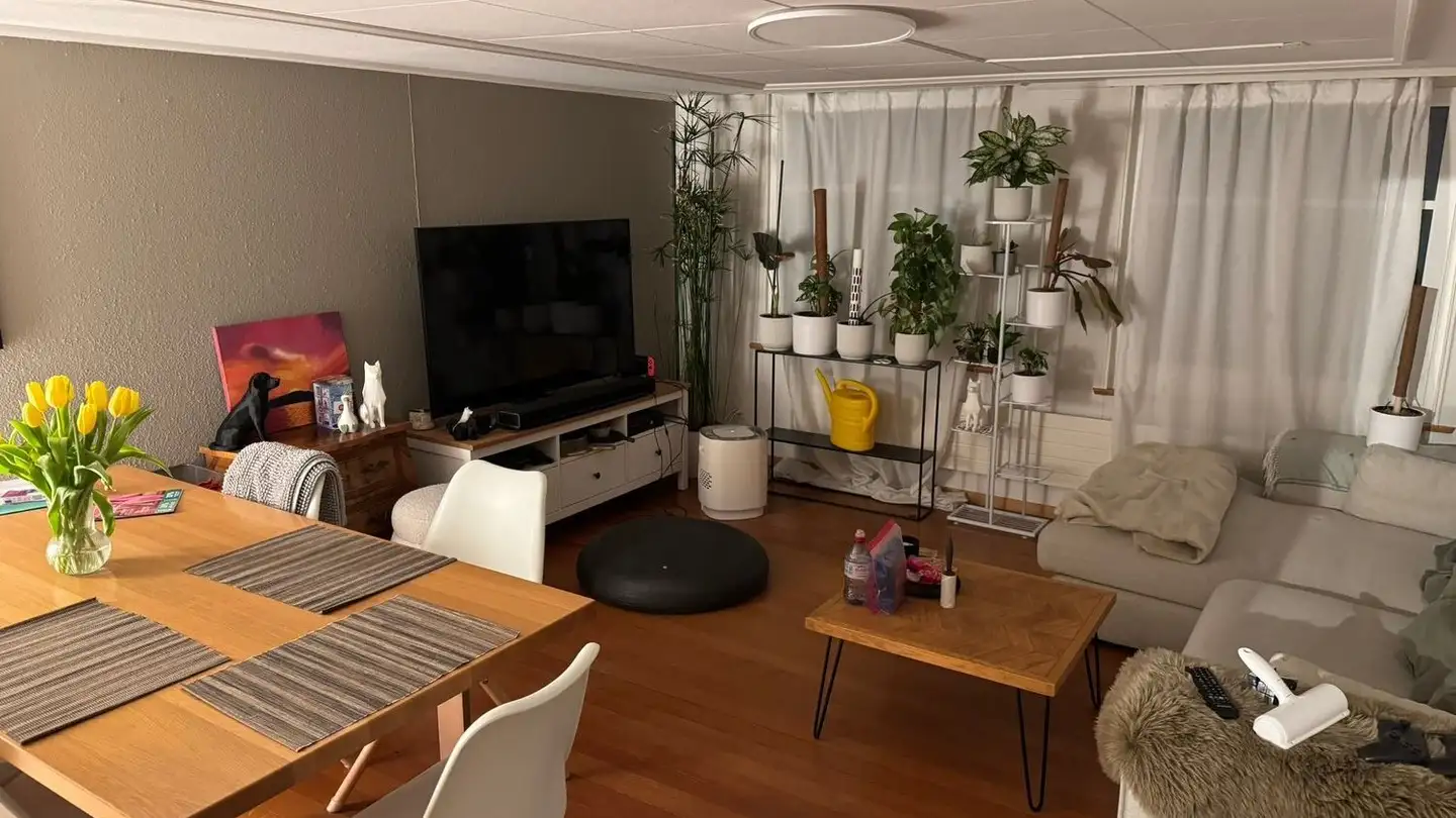 Maison en terrasse à louer - Lindenweg 1, 8360 Eschlikon TG - Photo 4