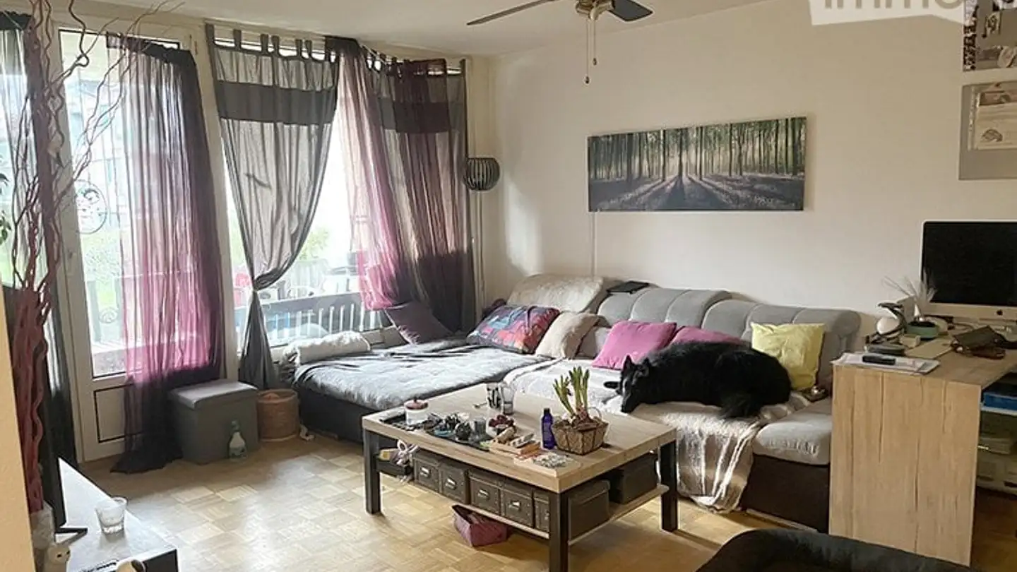 Appartement à louer - Chemin Salomon- Penay 21, 1217 Meyrin