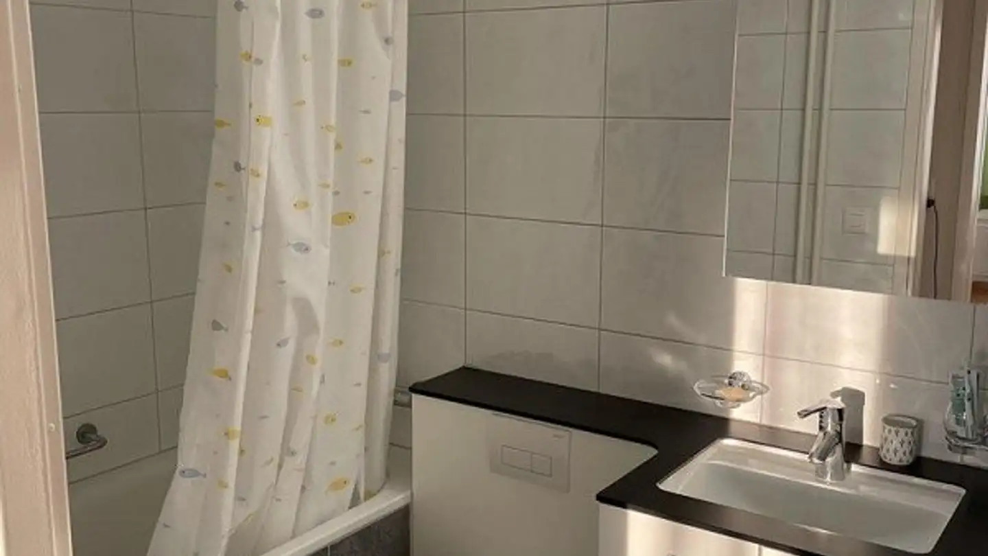 Appartement à louer - Albisriederstrasse 166a, 8003 Zürich - Photo 3