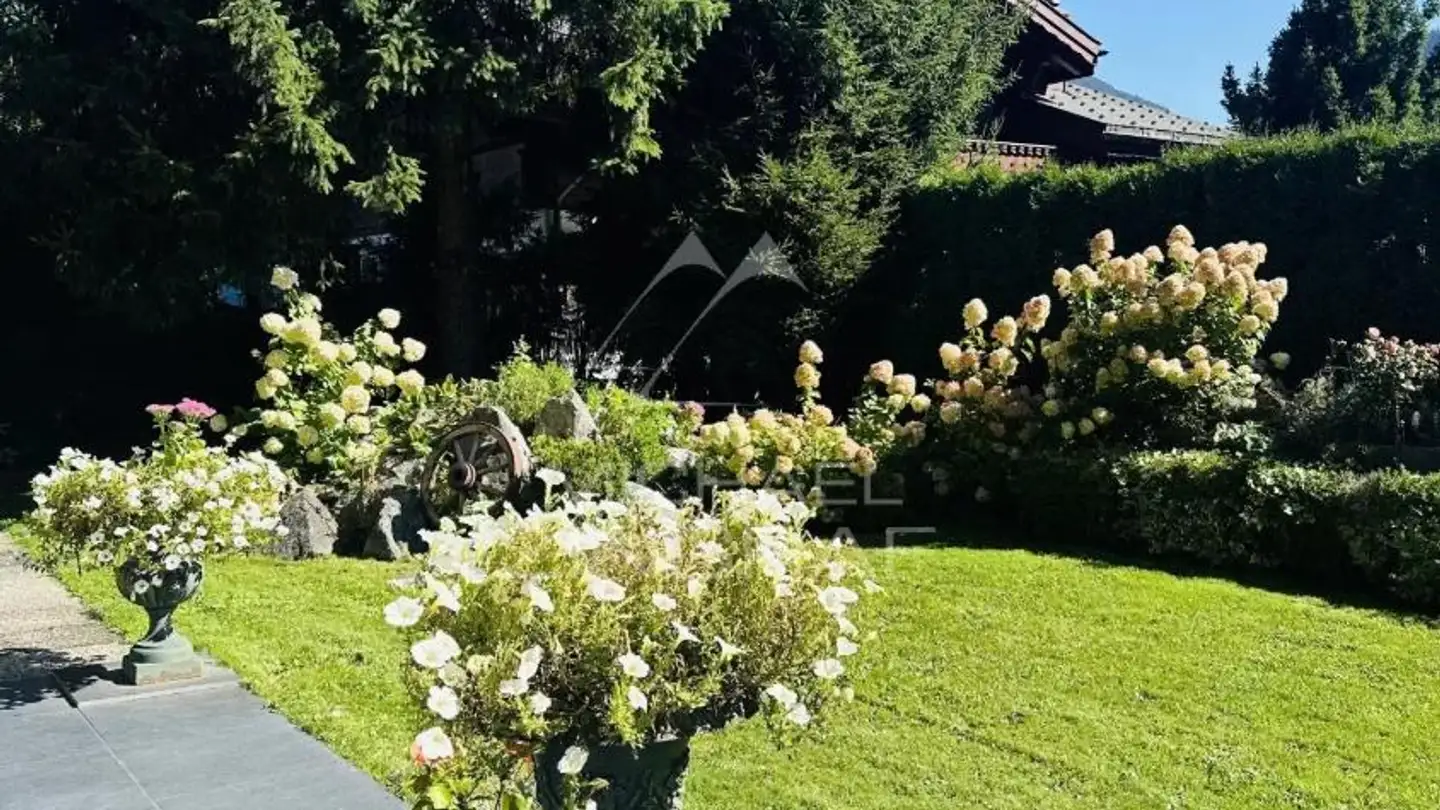 Wohnung mieten - 3780 Gstaad