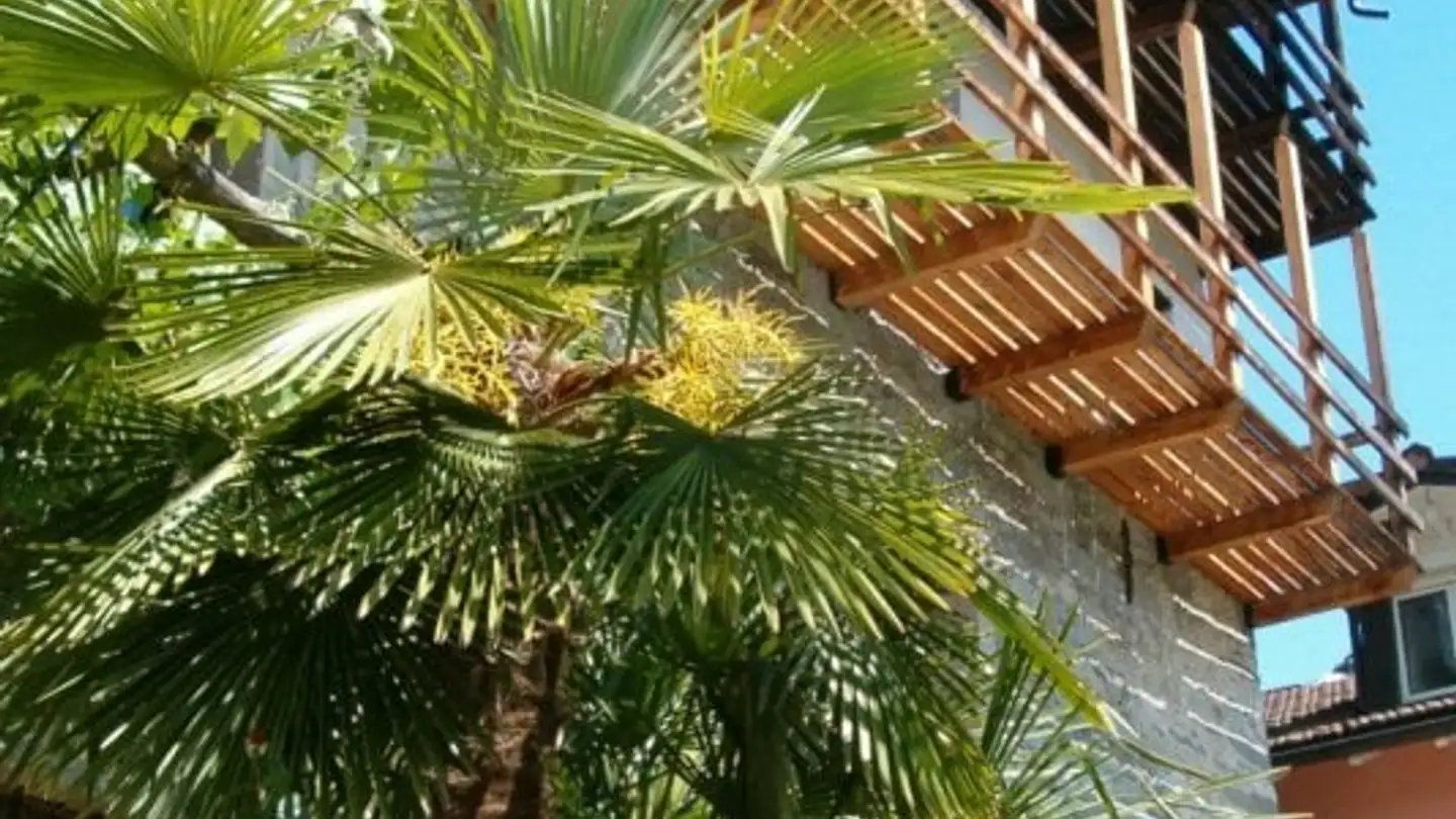 Apartment for rent - Loco, 6661 Loco - Photo 4