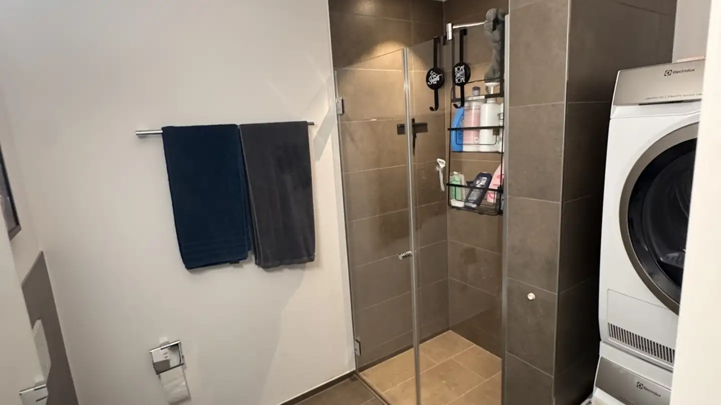 Appartamento in affitto - Seestrasse 145, 8266 Steckborn - Foto 2