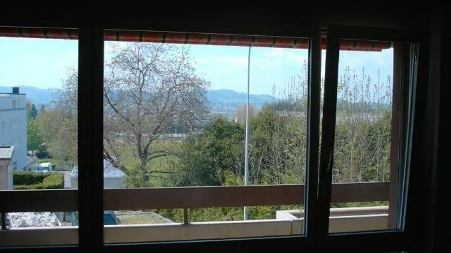 Appartement à louer - Sonnhaldenstrasse 16, 9552 Bronschhofen - Photo 4