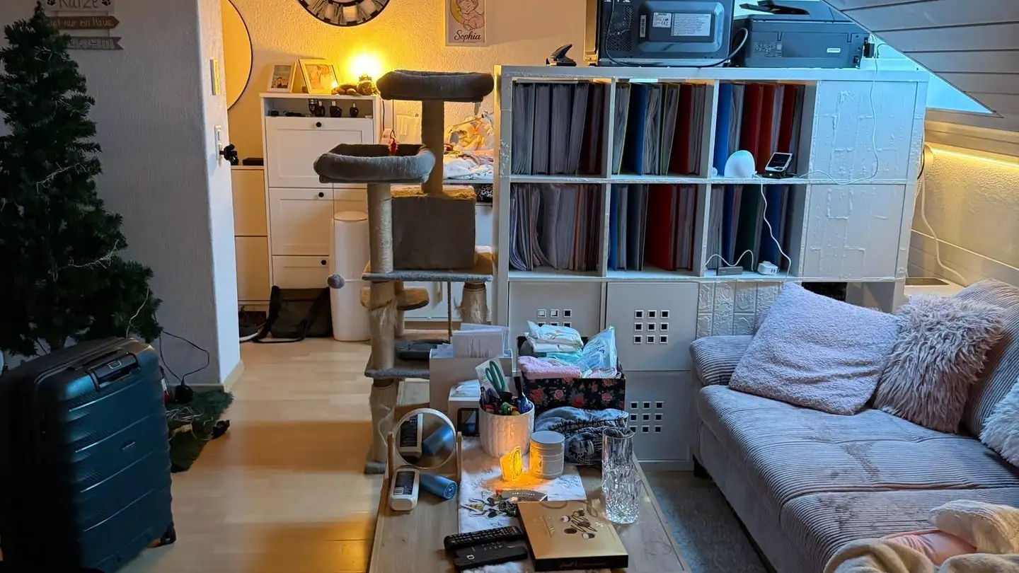 Attic flat for rent - 8597 Landschlacht