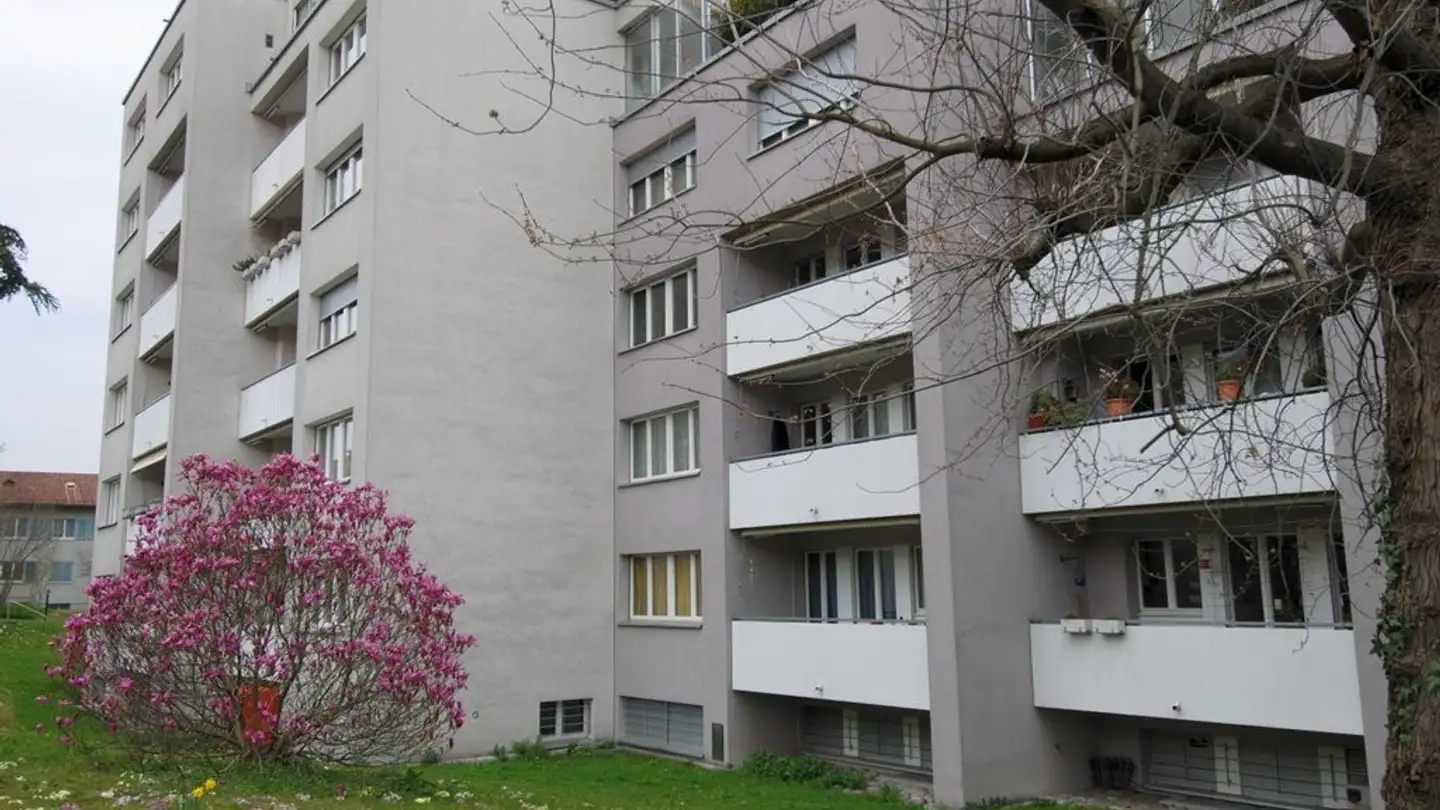 Appartamento in affitto - Frauentalweg 12, 8045 Zürich