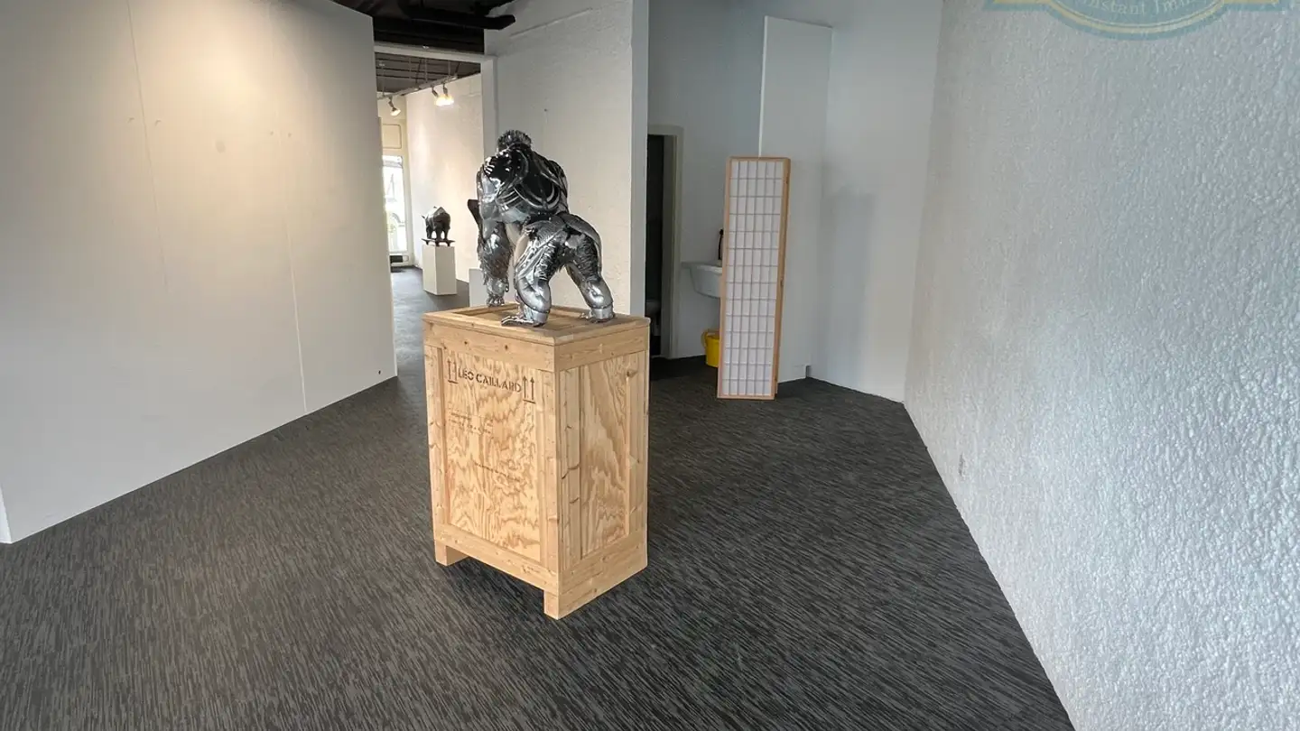 Commercial à louer - Rue Du Jura 11, 2900 Porrentruy - Photo 4