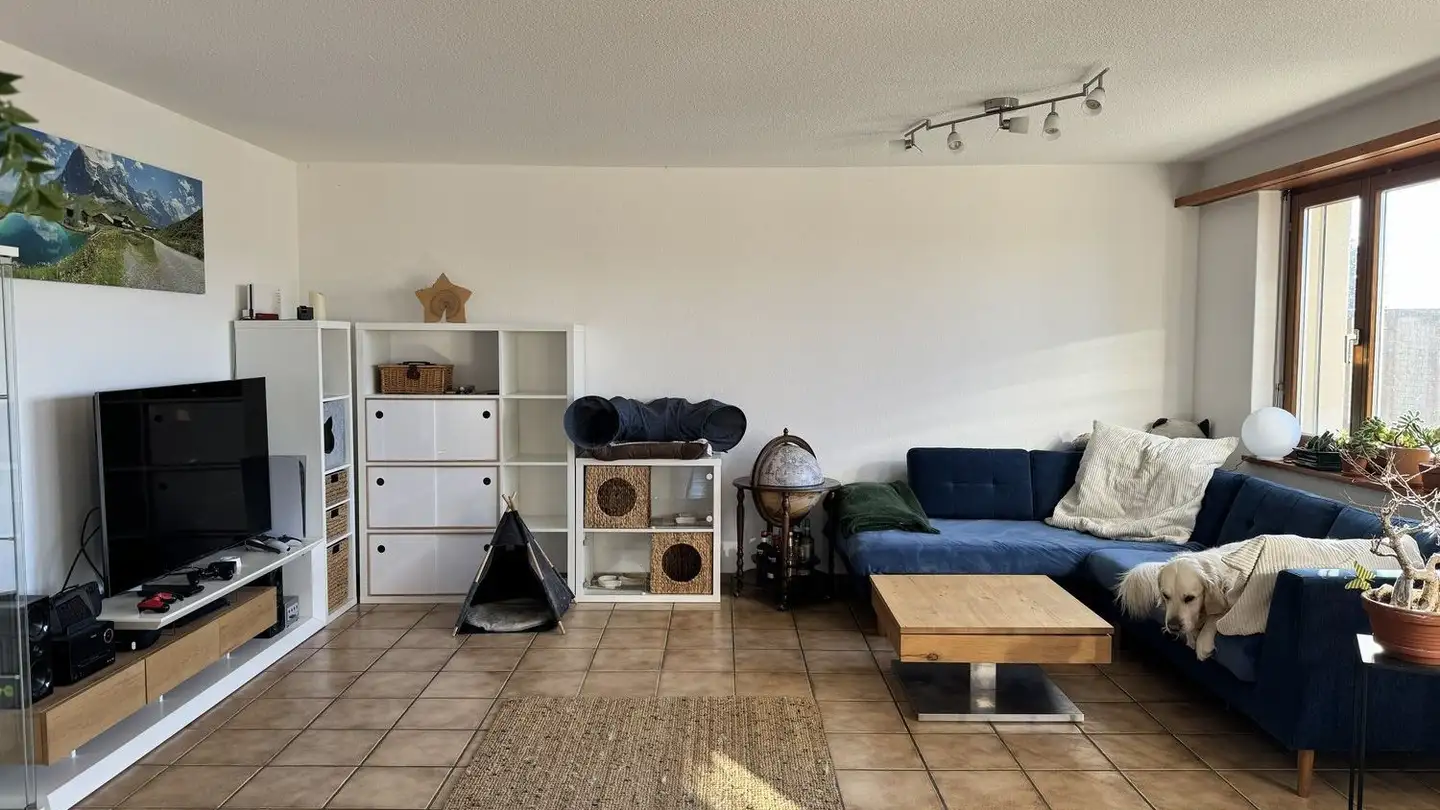 Semi-detached house for rent - Rebbergstrasse 74, 8917 Oberlunkhofen - Photo 3