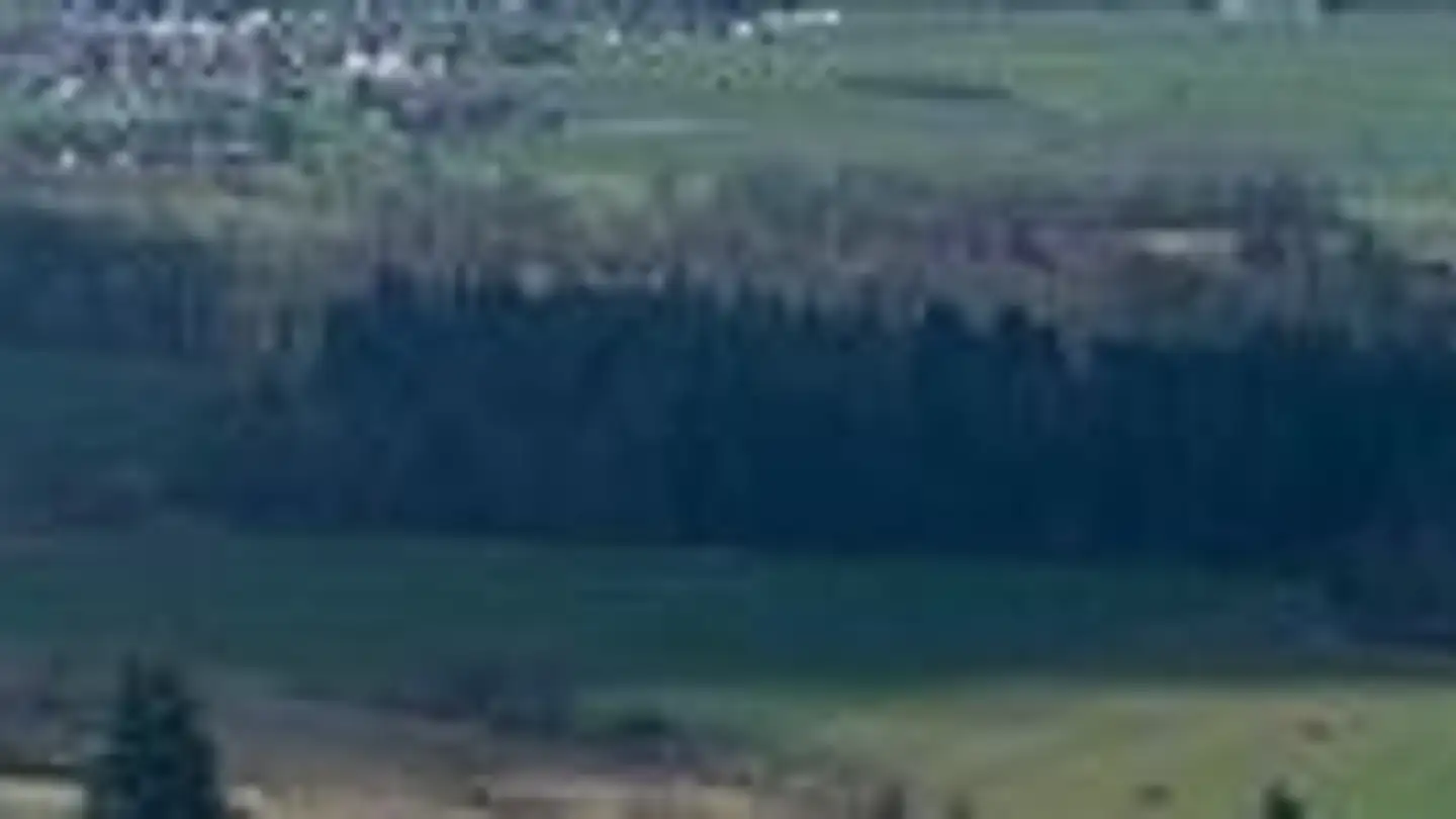 Appartamento in affitto - Rebenweg 32, 8917 Oberlunkhofen - Foto 2